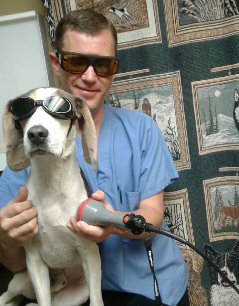 veterinarian using laser therapy