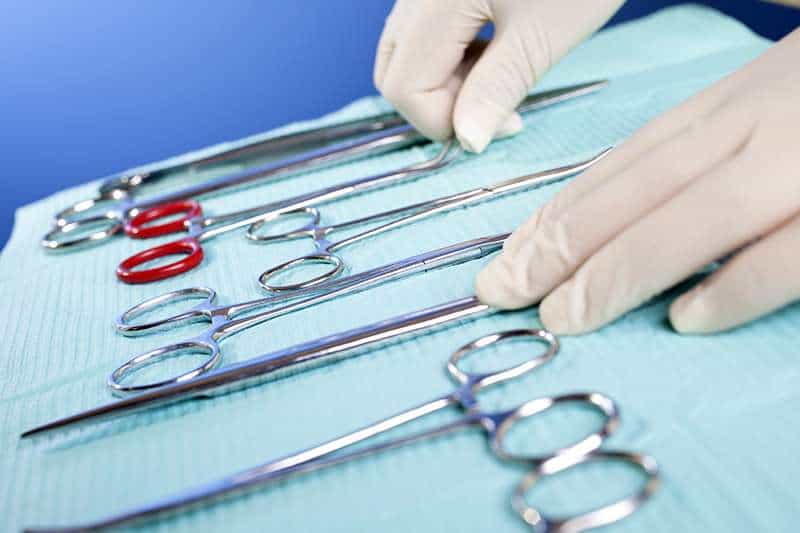 veterinary surgical instruments